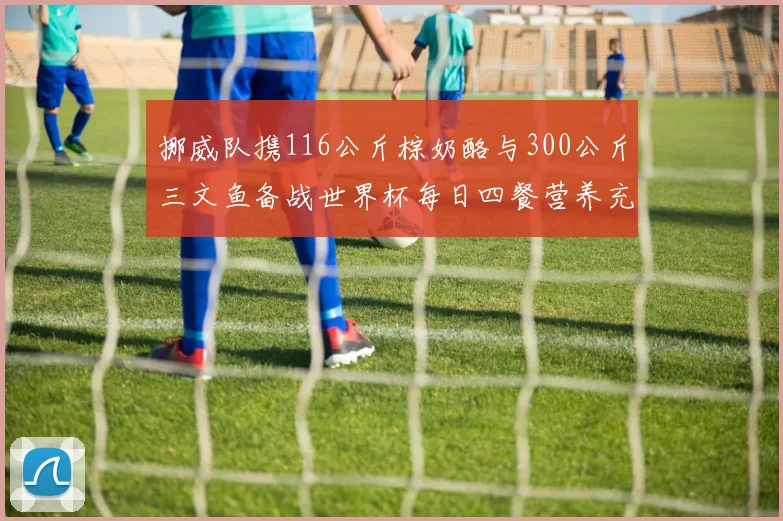 挪威队携116公斤棕奶酪与300公斤三文鱼备战世界杯每日四餐营养充足